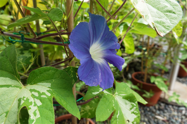 DSC09104_R
