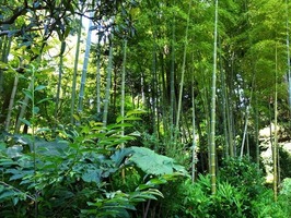 DSCF8824_R