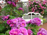 DSCF1434_R
