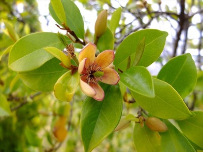 DSCF2392_R
