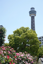 DSC07235_R