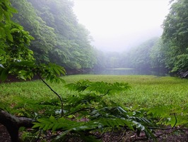 DSCF0858_R