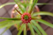 DSCF2302_R