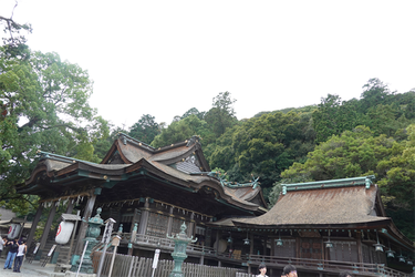 DSC09533_R