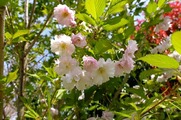 DSCF2443_R