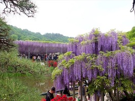 DSCF2370_R - ¥³¥Ô¡¼