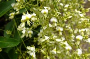 DSCF4742_R