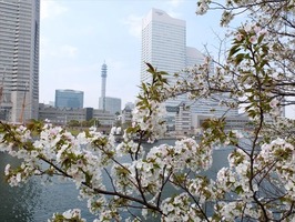 DSCF8034_R