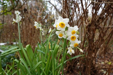DSC03645_R