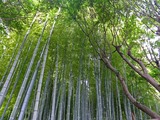 DSCF2637_R