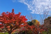 S0849170_R