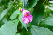 DSCF4119_R