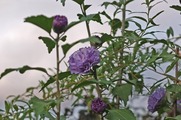 DSCF6044_R