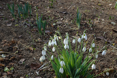 DSC
		</div>
		

	</div><!-- articleBody End -->

	<div class=