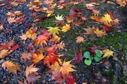 DSCF7465_R