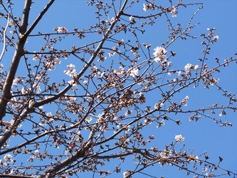 DSCF8265_R