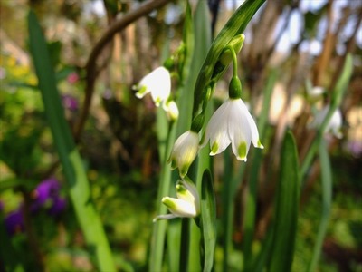 DSCF7857_R