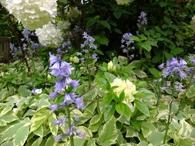 DSCF2744_R