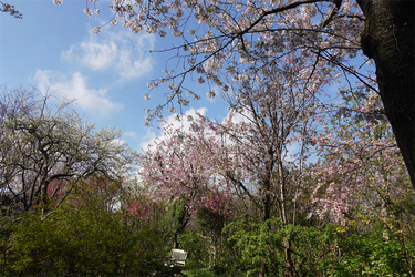 DSC06380_R