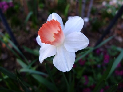 DSCF4743_R
