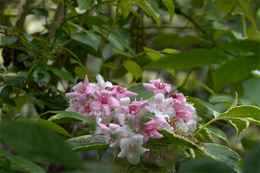 DSC06851_R