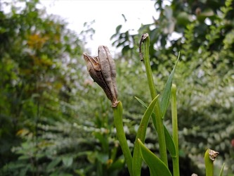 DSCF6091_R