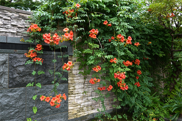 DSC09076_R