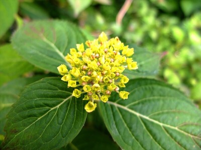 DSCF2620_R