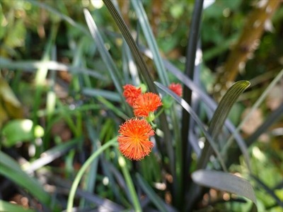 DSC01456_R