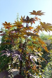 DSC02757_R