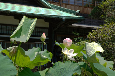 DSC03177_R