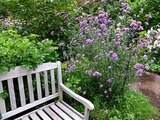 DSCF2848_R