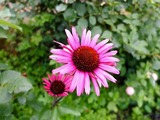 DSCF2528_R