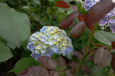 DSC08129_R
