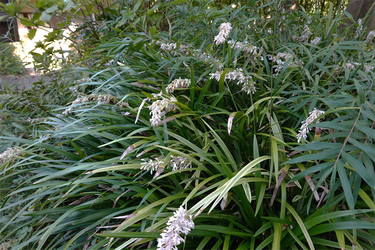 DSC07699_R