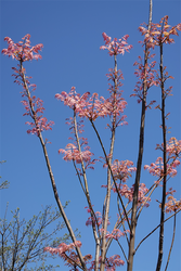 DSC06634_R