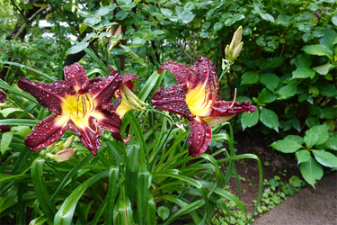 DSC08537_R