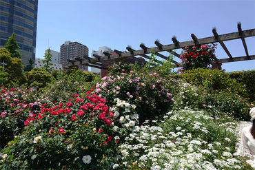 DSC07238_R