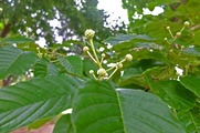 DSCF3899_R