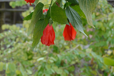 DSC00034_R