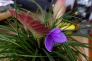 DSCF5579_R