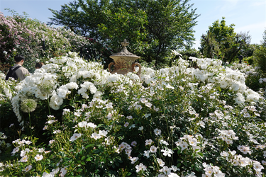 DSC07753_R