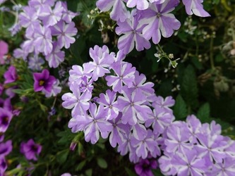 DSC01336_R