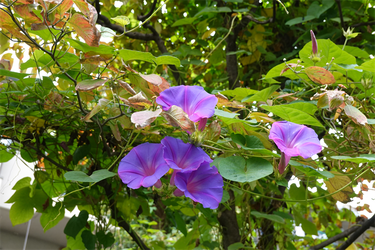 DSC08115_R