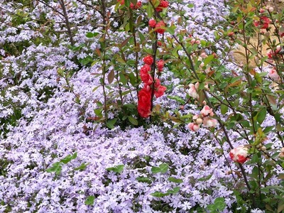 DSCF5123_R