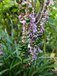 DSCF5448_R