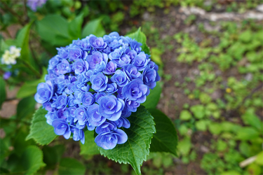 DSC08153_R