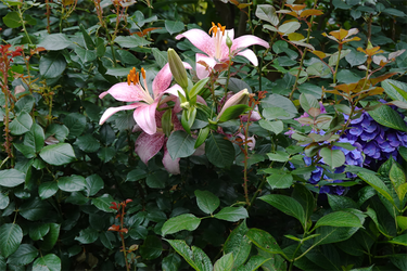 DSC08359_R