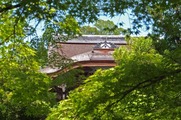 DSCF3943_R
