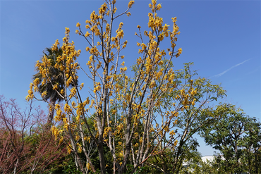 DSC06149_R